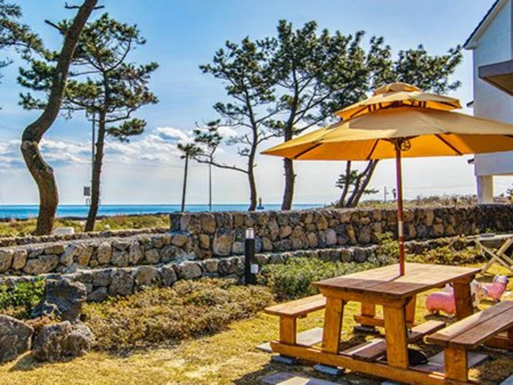 Jeju Turtle Pension
