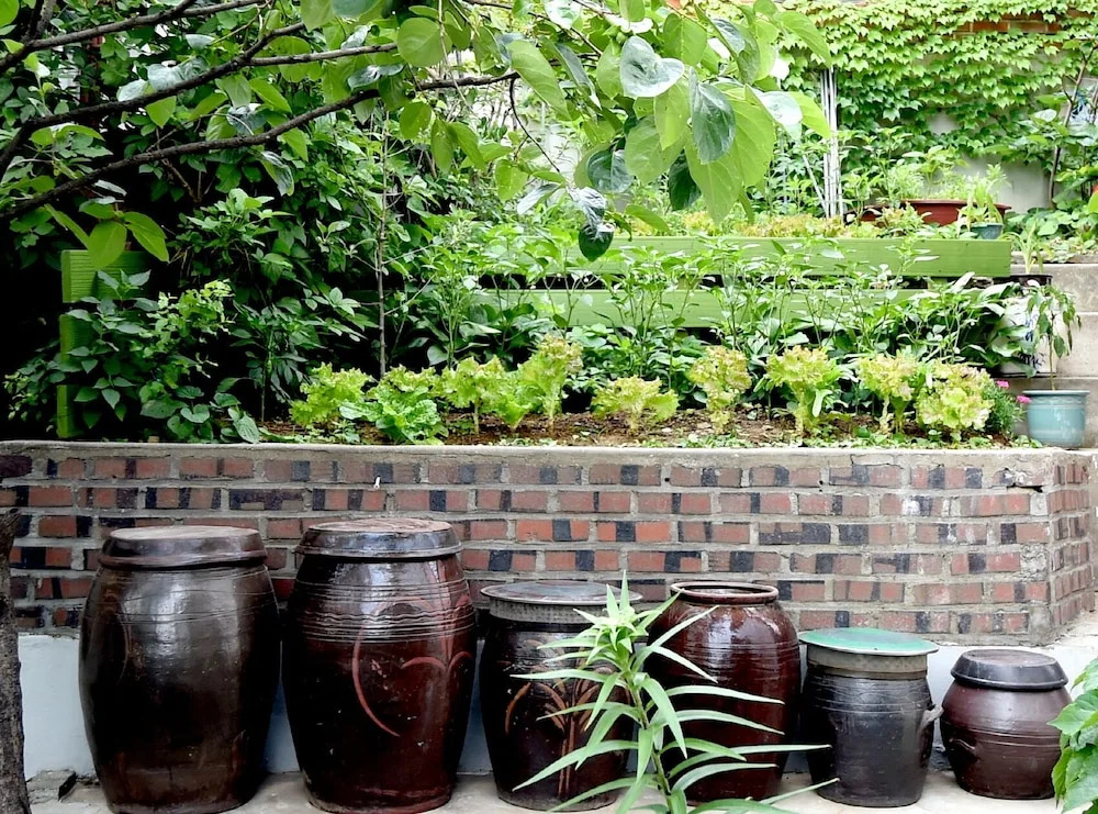 Photo Park Guesthouse