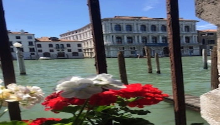 Grand Canal Rialto Palace Lift