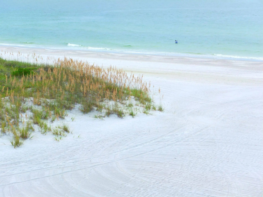 Barefoot Beach Club