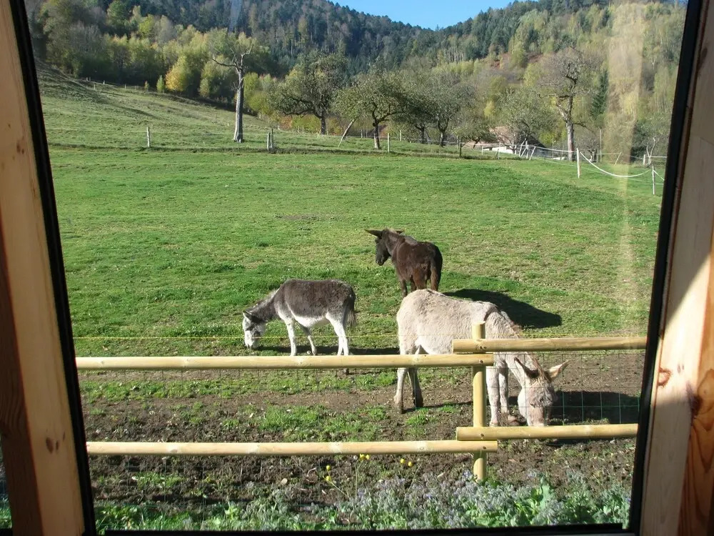 La Ferme Traitsanes