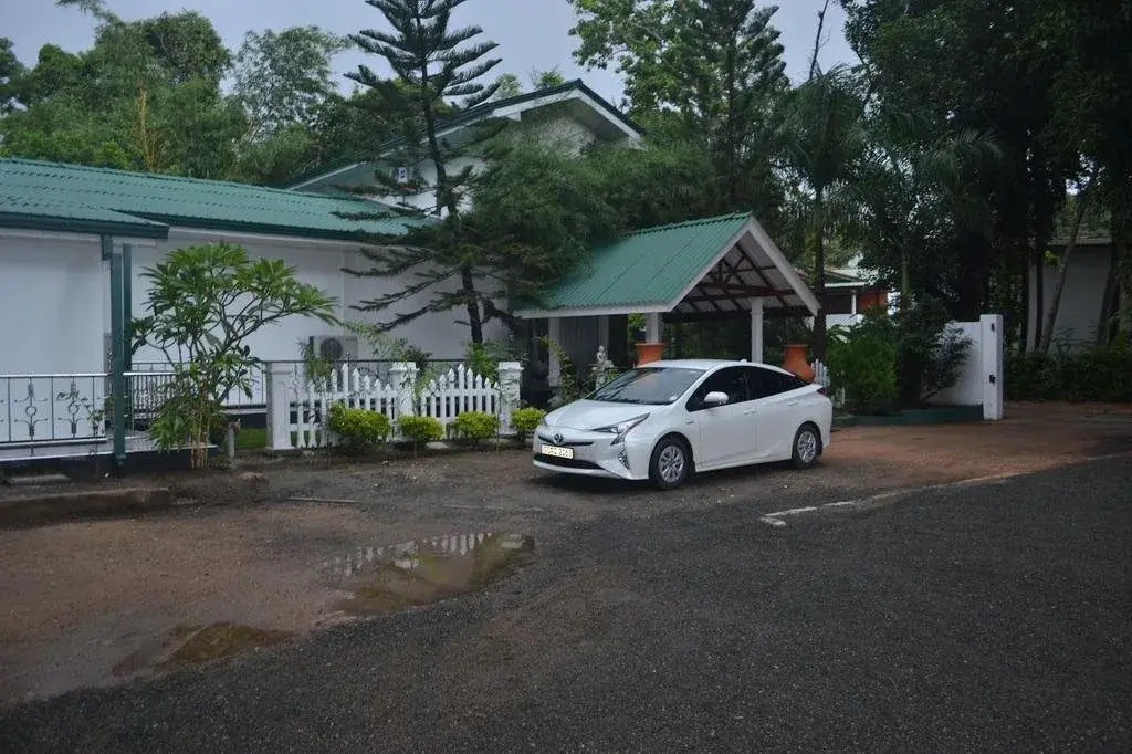 White Palace & Nice Place