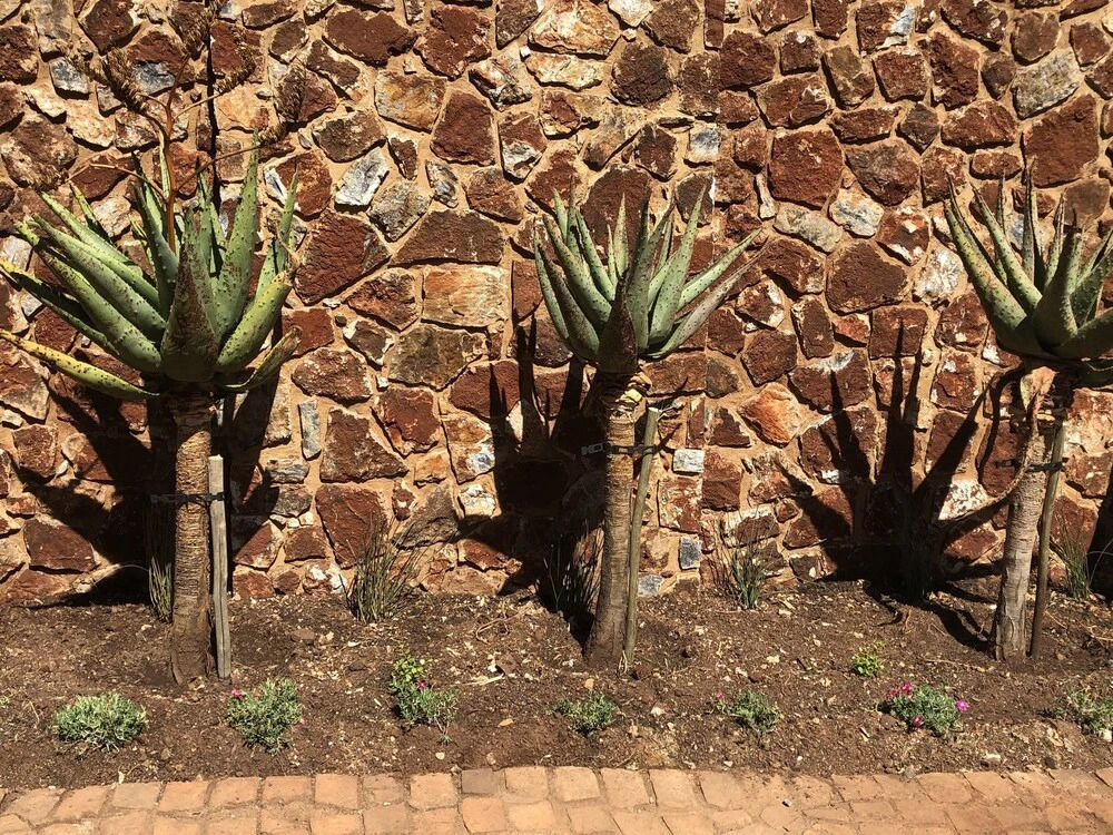 The Colonial Guest House