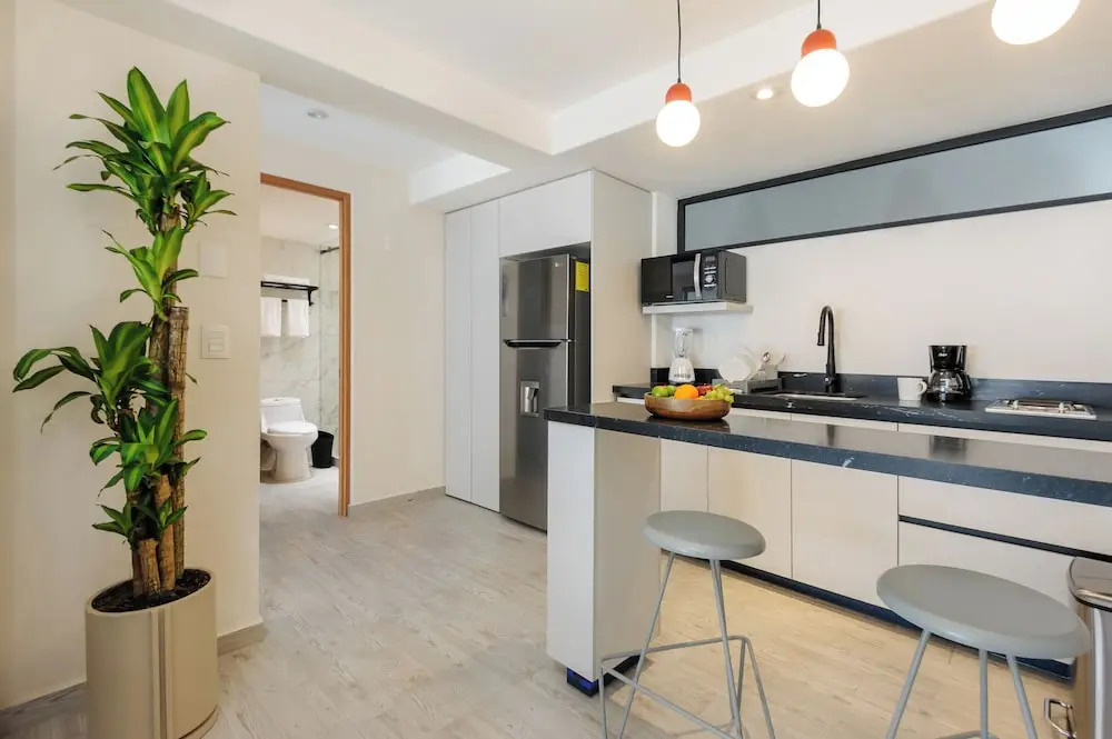 Choapan 28 - Lux Apartments in Condesa