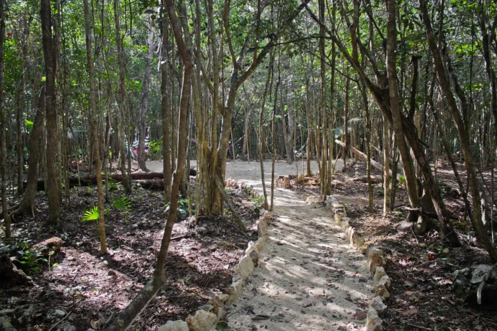 Aldea Maya-Ha Cabañas con cenotes