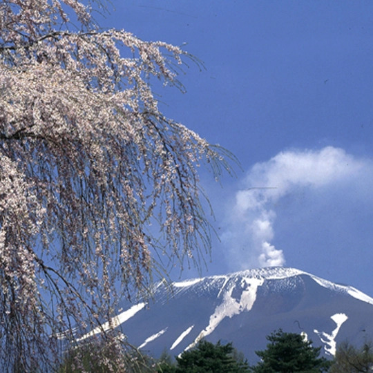 Meijiya Ryokan