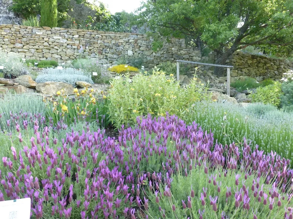 Les Jardins de lAbbaye