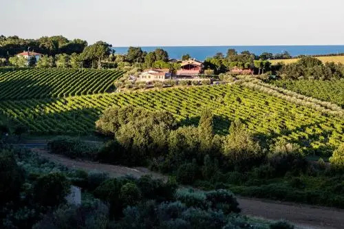 Il Villagio Delluva Struttura BB