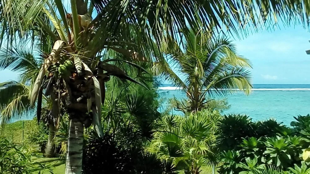Apartment With 2 Bedrooms in La Saline-les-bains, With Wonderful sea V