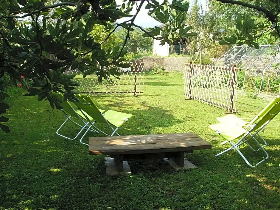 B&B Barucin