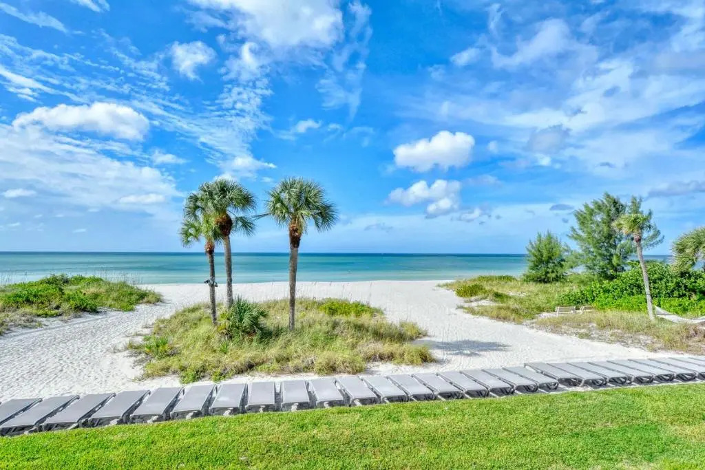 LaPlaya 105B-Relax on the balcony and watch the dolphins swim by and the pelicans dive!