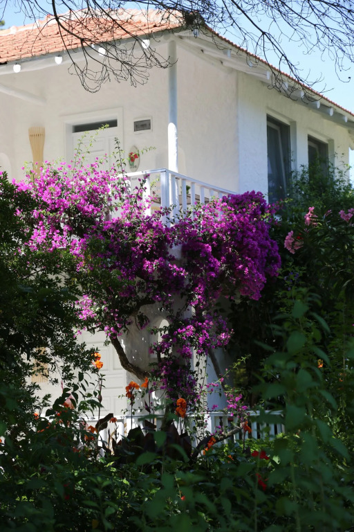 Golden Key Hisaronu