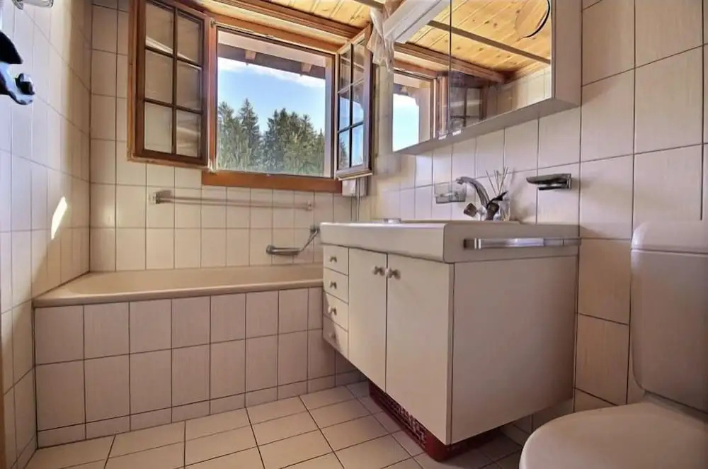 Chalet Soldanella 10 guests Gstaad
