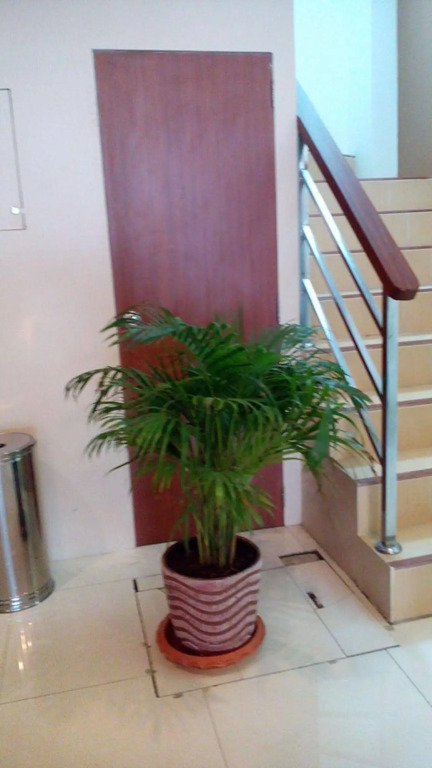 Phuket IYH Express Hostel