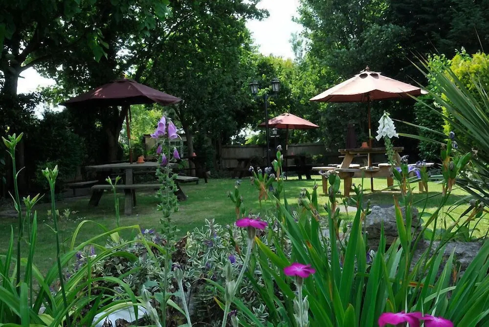 The Jester Country Inn