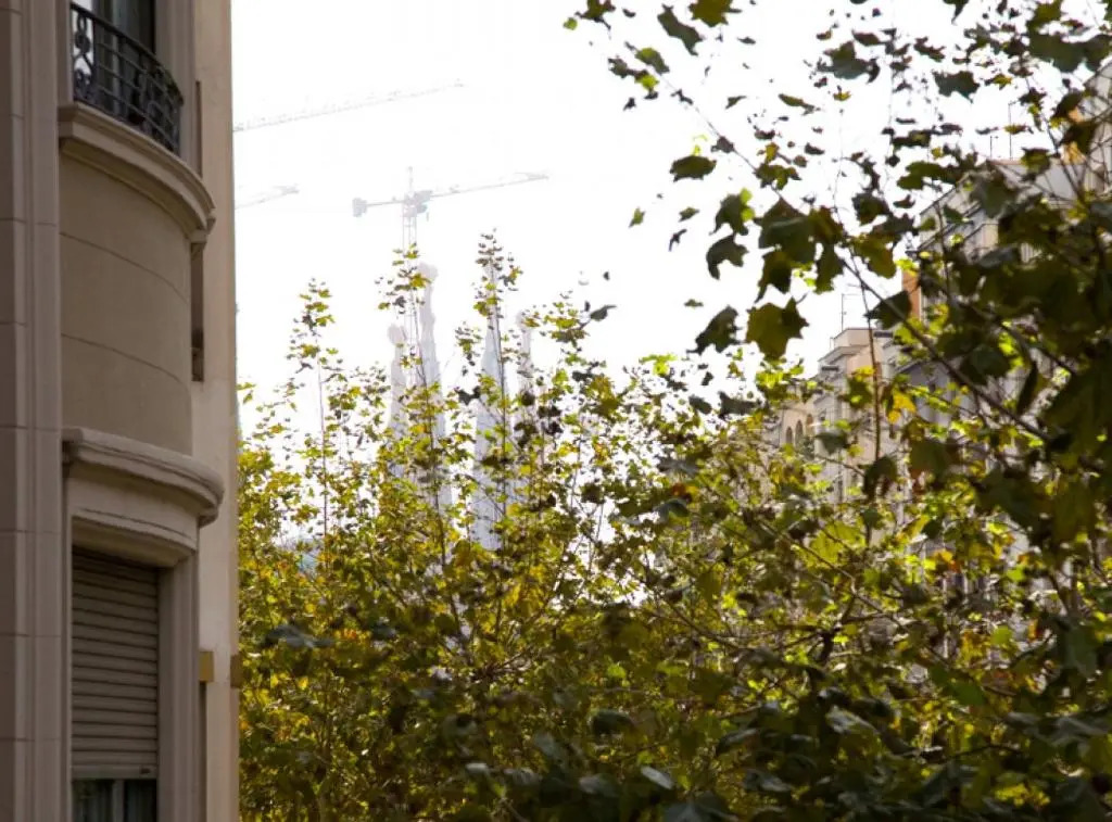 Avinguda Gaudi Apartment