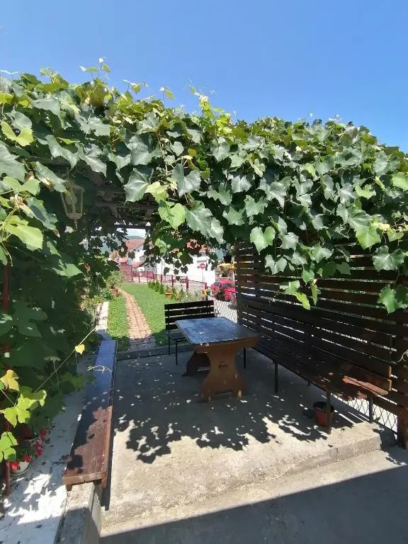 Apartman Spiro