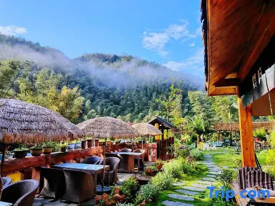 Shunan Bamboo Sea Pinecui·Bieyuan Homestay