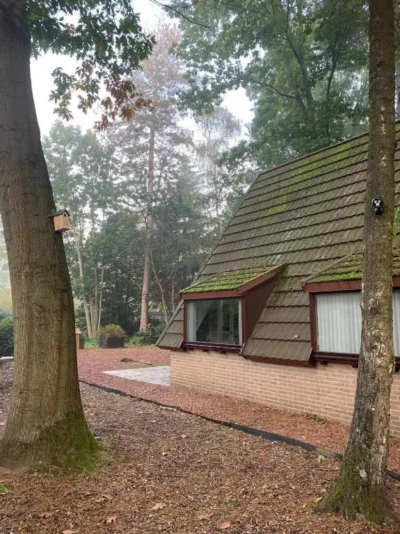 Natuurhuis Van De Wereld
