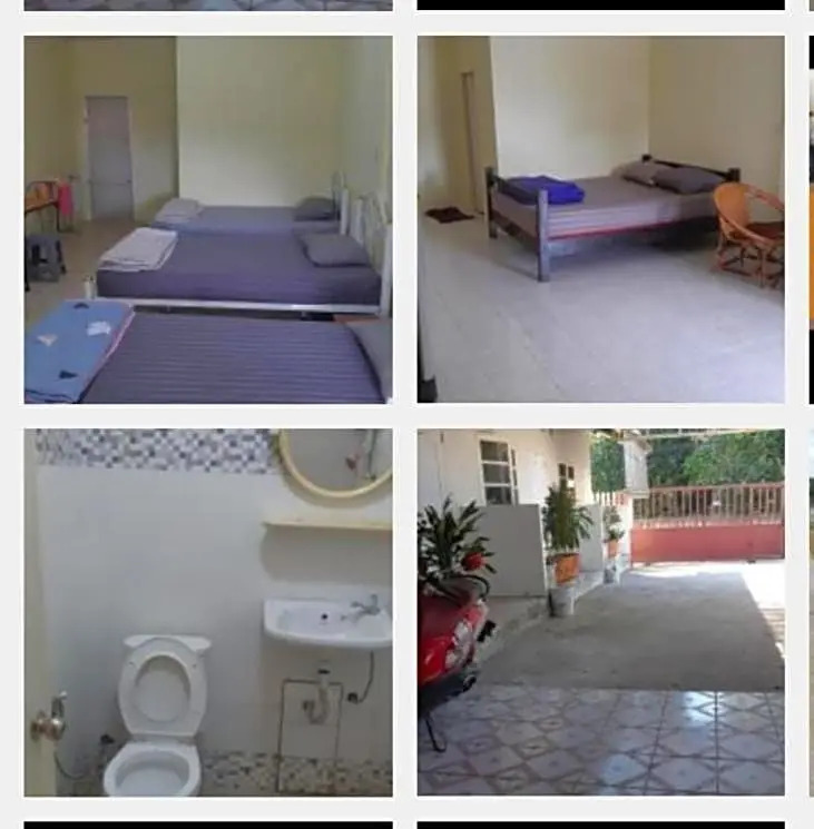 Pakchong hostel & wildlife tour