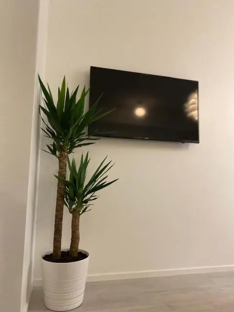 Stylished and Bright studio apartment