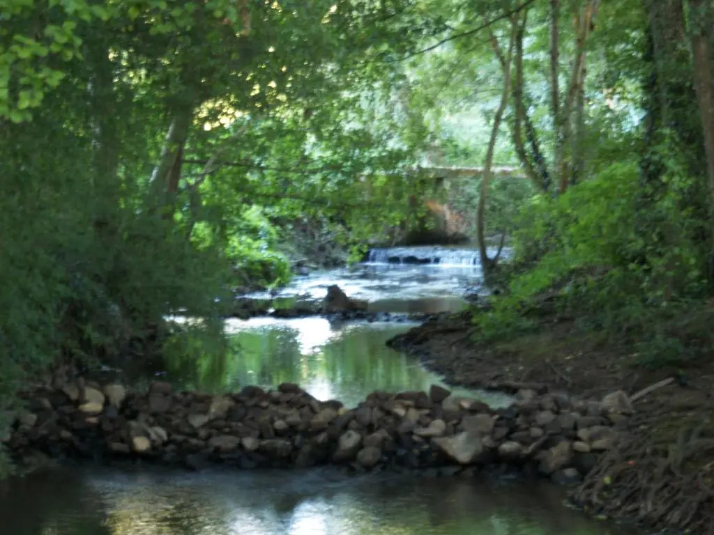 Le Grison