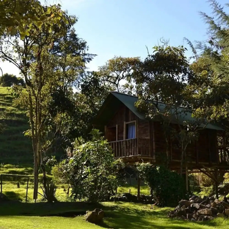 Cabañas Rusticas El Viejo Tambo