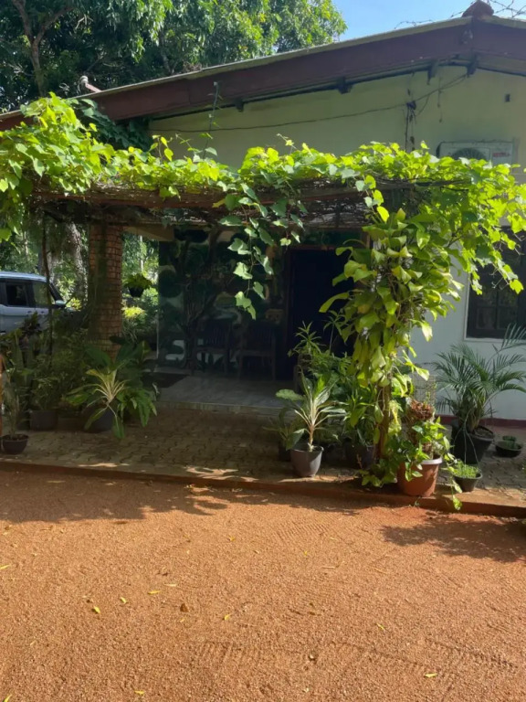 Olivia HomeStay