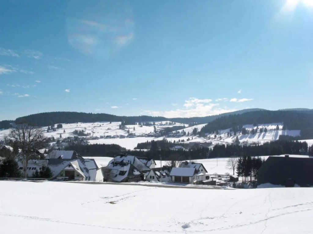 Schwarzwaldblick 30396
