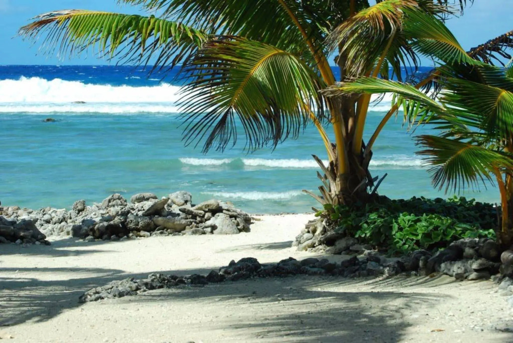 Tropical Sands