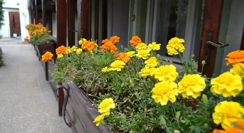 Cafe-Restaurant Pension Slimacka