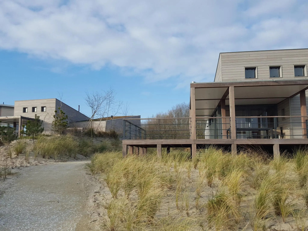 Luxurious villa with a nice deck, in nature reserve De Punt