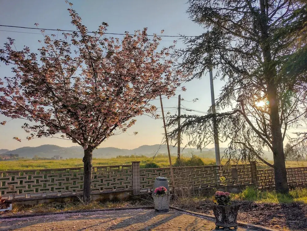 Villa with Pool Monferrato BOTTO LIVING