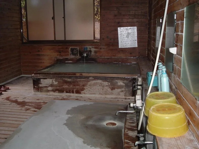Onsen Inn 36So
