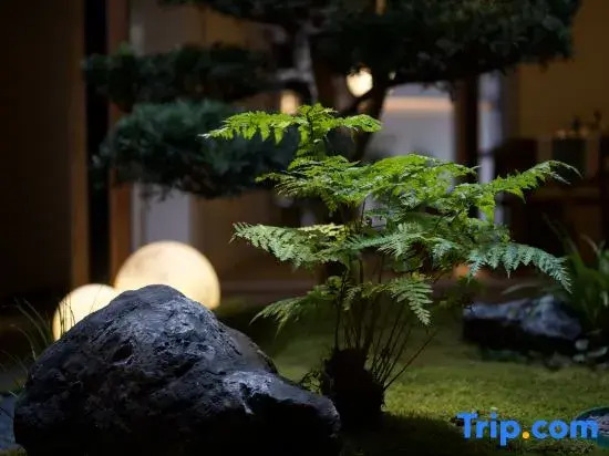 Wind & Grain · Moonlight Among Pines Guesthouse (Shuinan Cultural Street Location)