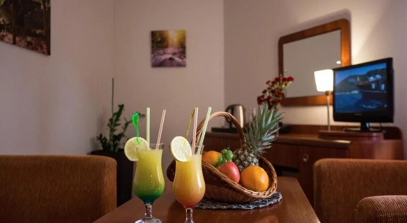Pensjonat Śnieżka SPA
