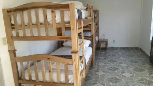 Island Roots Hostel