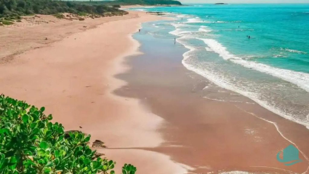 Sea Sounds
