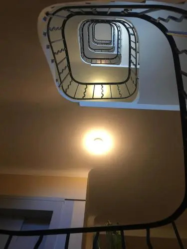 L'excelsior