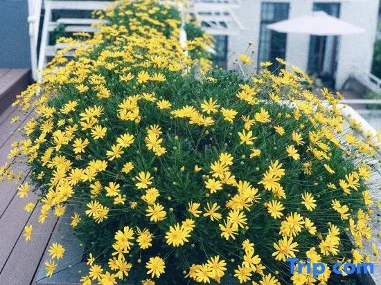 Yinshe Xianglin Homestay (Shanghai Hongqiao Airport Convention and Exhibition Center Branch)