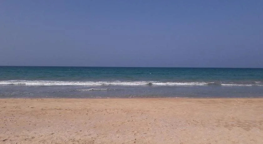 Blue Whale Nilaveli