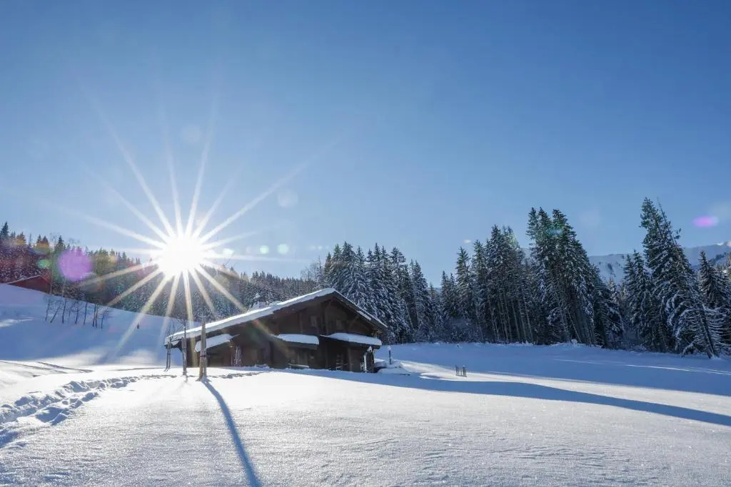 IMMOBILIER DE MONTAGNE - LA COLLECTION - L'alpage