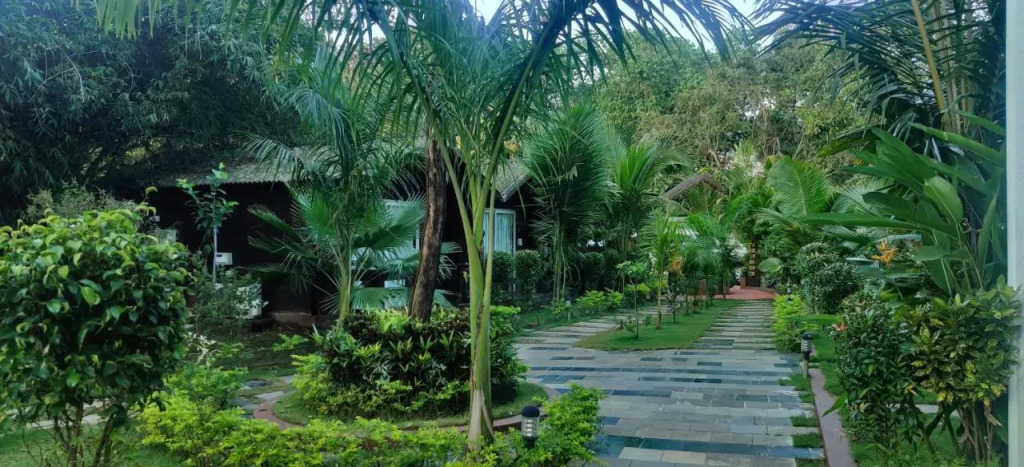 JP Resort