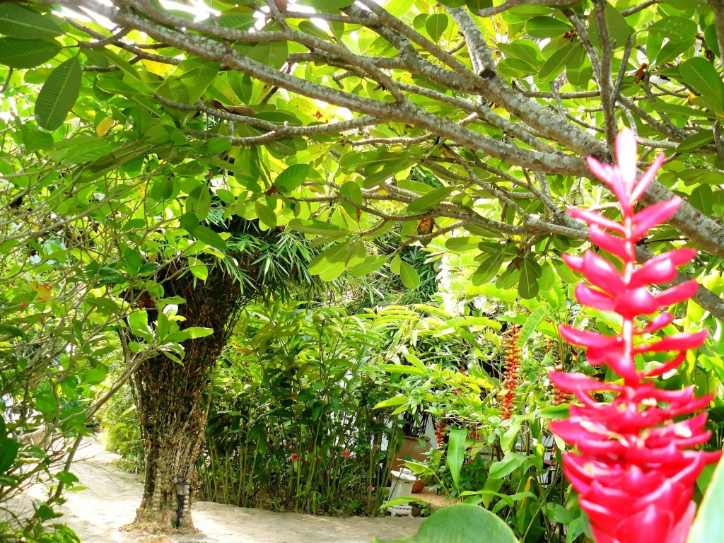 Mealea Resort