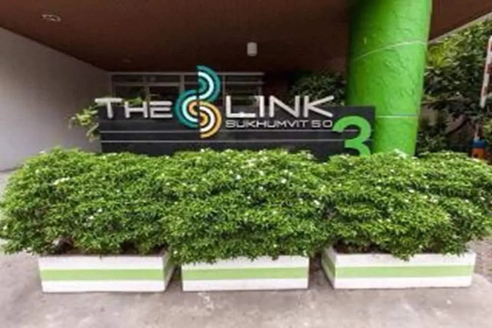 The Link Onnut by May