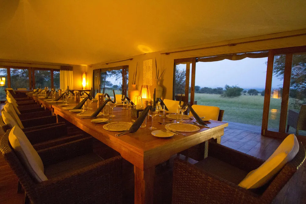 Sayari Camp - All Inclusive