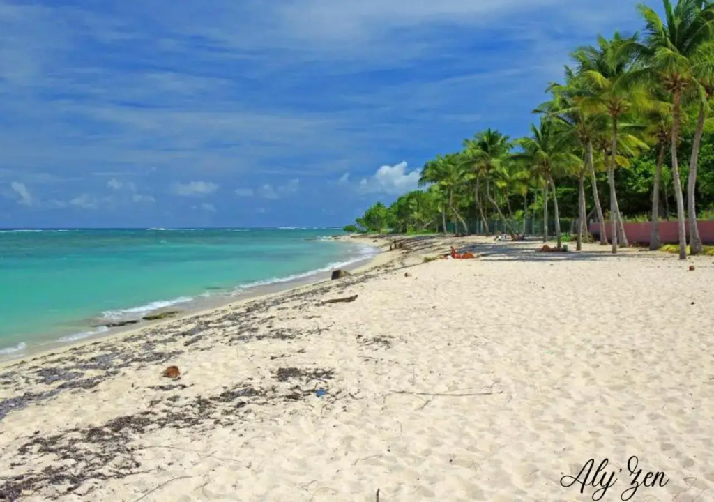Aly'Zen - Studio de charme. Pieds dans l'eau (mer)
