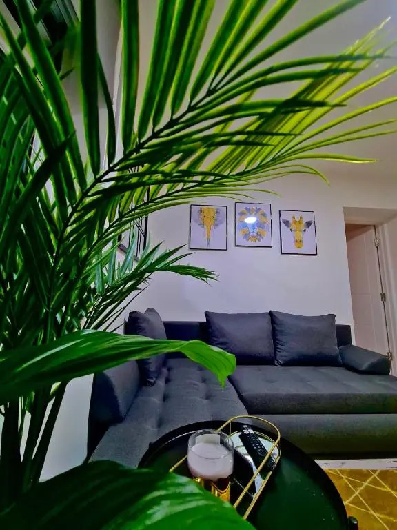 Beautiful Apartment - up to 4 guests - Leicester City Centre . Free WIFI