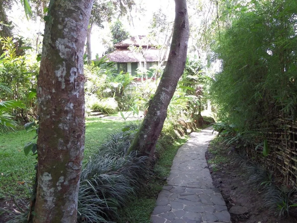 Sayan Terrace Resort