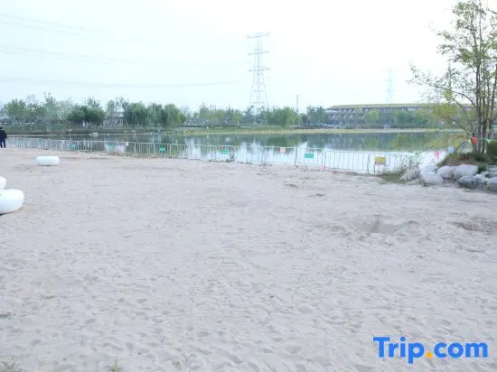 Xiongan Aquarium Light Luxury Hotel